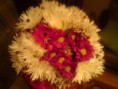 /album/kytice/dsc00059-kopia-jpg/